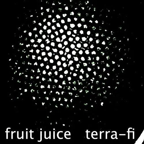 Fruit Juice - Terra-Fi