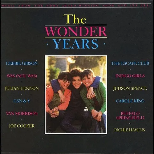 Various Artists - The Wonder Years