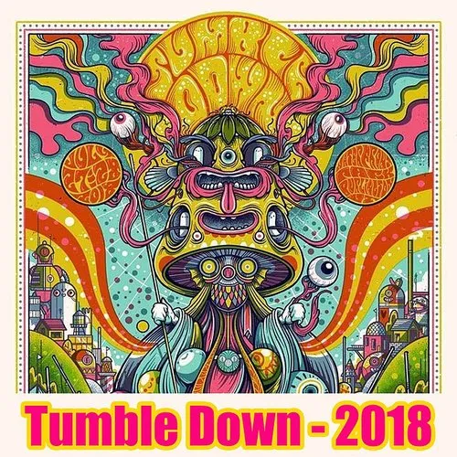 Twiddle - Tumble Down 2018 (Live)