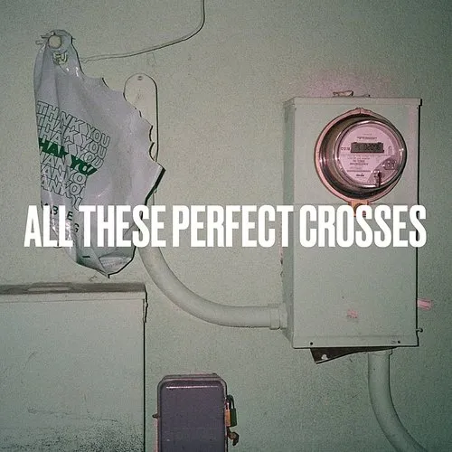 Craig Finn - All These Perfect Crosses - Single