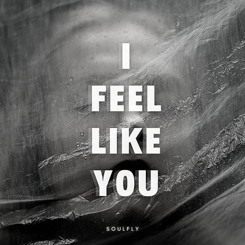 Soulfly - I Feel Like You