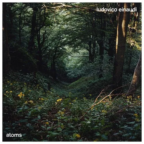 Ludovico Einaudi - Atoms