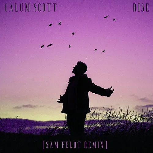 Calum Scott - Rise (Sam Feldt Remix)